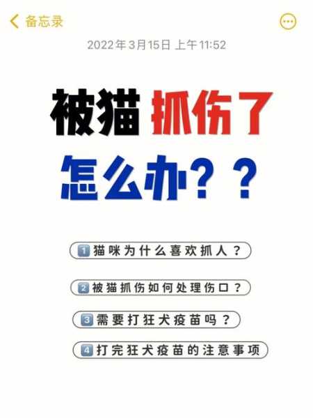 铲屎官该如何避免被猫抓（铲屎官该如何避免被猫抓伤）