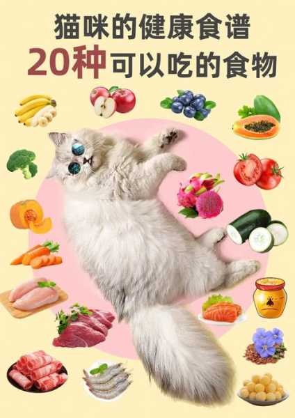 怀孕的猫咪应该吃什么东西（怀孕的猫咪吃什么补充营养）