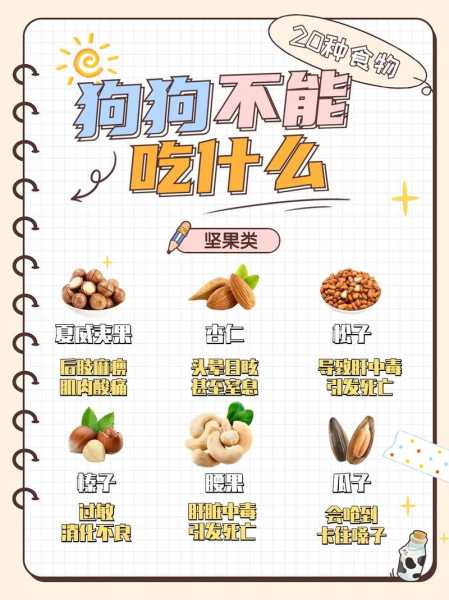 狗狗缺乏微量元素吃什么食物（狗缺乏微量元素可以吃什么食物）