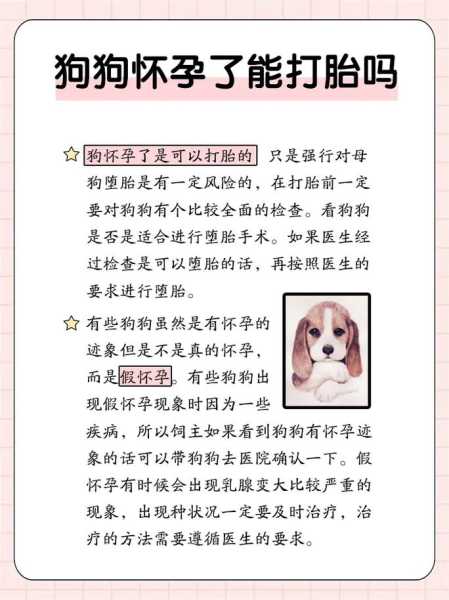 狗怀孕后可以打掉吗（狗怀孕可以打胎吗）