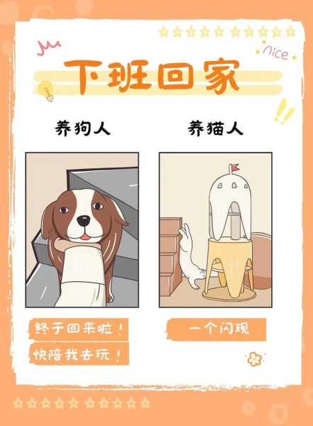 把猫当人养（把猫当狗养的人是什么）