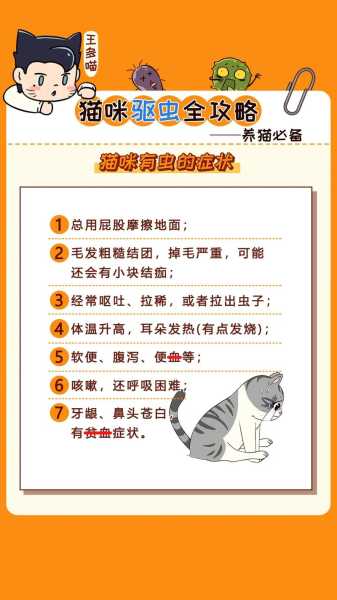 给猫咪驱虫怎么操作（给猫驱虫教程）