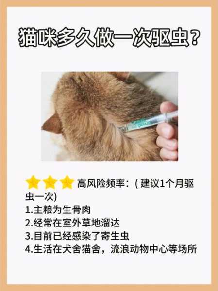 猫咪驱虫多久一次体内（猫驱虫多久一次体内体外）