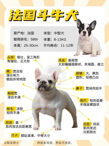 法国斗牛犬缺点（法国斗牛犬有什么用）