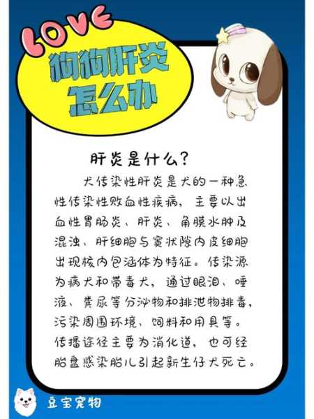 犬传染性肝炎是由什么引起的（犬传染性肝炎的临床症状）