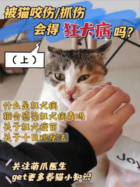 猫什么情况会有狂犬病（猫什么情况会有狂犬病呢）