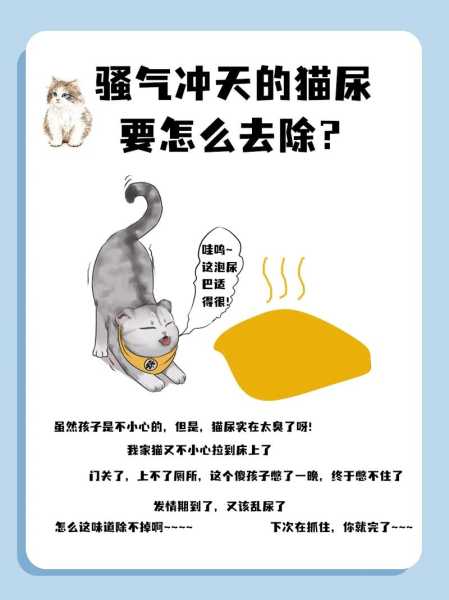 猫狗尿味道怎么去除（猫尿味大还是狗尿味大）