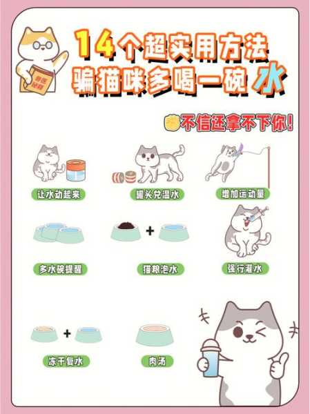 怎么样让猫咪多喝水（怎么可以让猫咪多喝水）