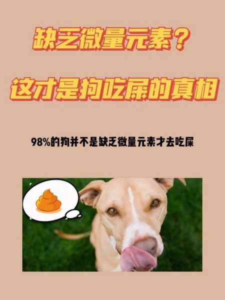 为什么狗狗喜欢吃屎和尿（狗为什么总是喜欢吃屎）