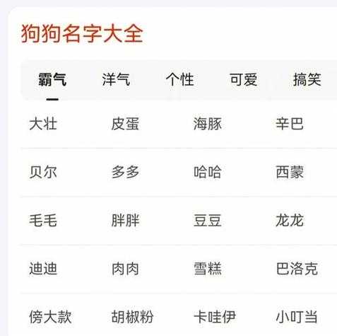 宠物好听的名字大全（好听洋气的宠物名字,看看有喜欢的吗?）