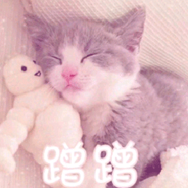 猫咪蹭你是它很喜欢你嘛（猫猫总蹭你）