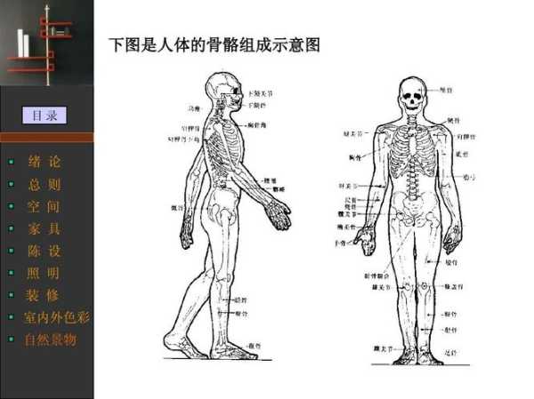 体外是什么东西（体外是指哪里）