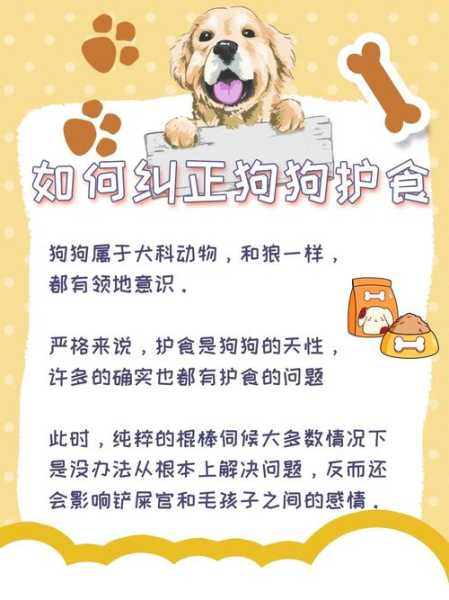 如何调整犬的护食行为（怎么改掉狗狗护食的毛病）