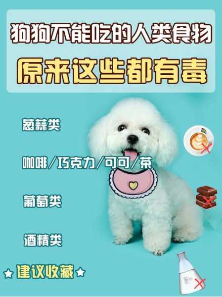 犬吃洋葱为什么会中毒（狗狗吃洋葱中毒症状）