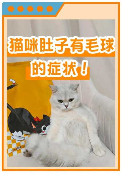 猫咪肚子有毛球（猫咪肚子有毛球症状）