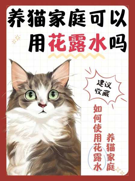 夏季给猫咪补水的重要性有哪些（猫咪补水吃什么）