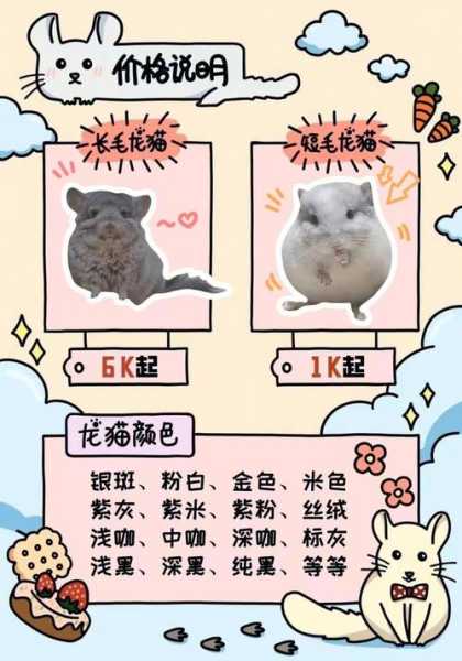 深咖色龙猫价位（浅咖龙猫）