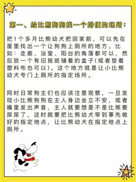 怎么训练比熊恭喜发财（怎样训比熊）