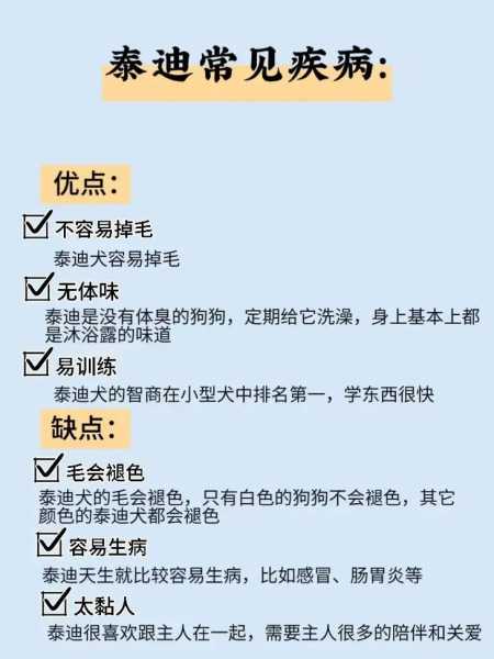 泰迪为什么喜欢和任何人亲（泰迪为什么喜欢黏人）