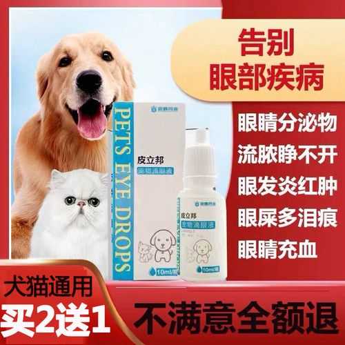 比熊犬没精神眼睛流脓水（比熊犬没精神眼睛流脓水吃什么药）