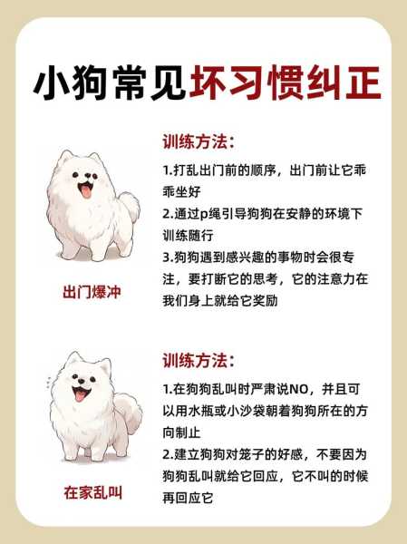 不听话的狗狗怎么教育（不听话的狗怎么教训）