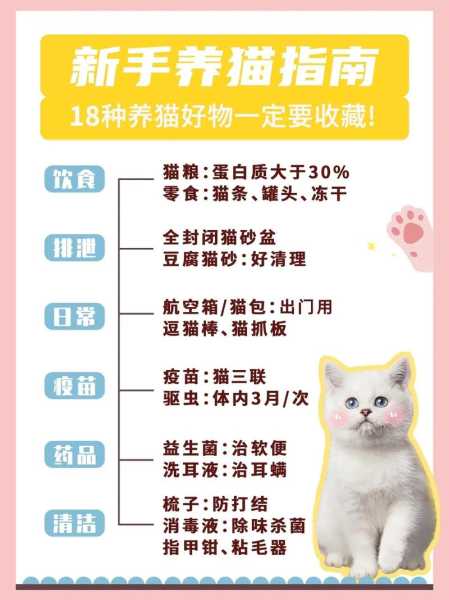 如何科学饲养猫咪（怎样科学养宠物猫）