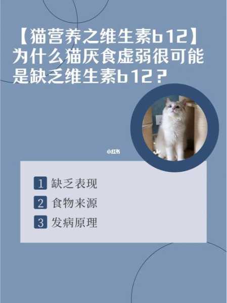 猫猫缺维生素（猫咪缺维生素）