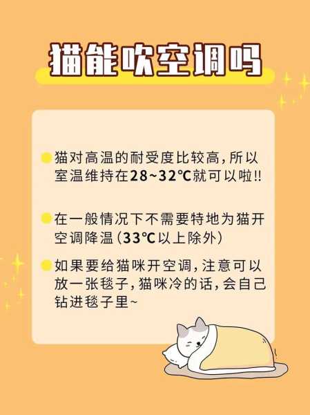 夏天如何帮龙猫降温最快（龙猫怎么散热）