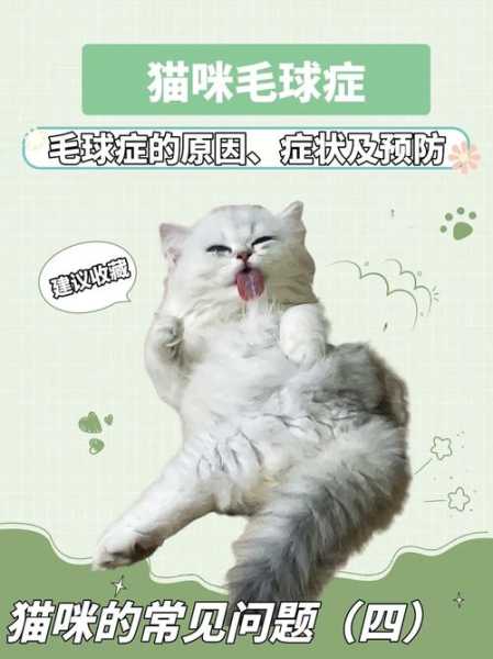 猫咪毛球症有哪些危害?怎么有效治疗?（猫咪毛球症能自愈吗）