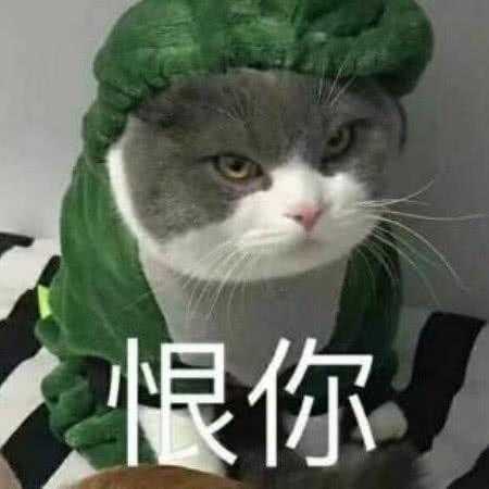 猫我恨你（猫如果恨你会怎么样）