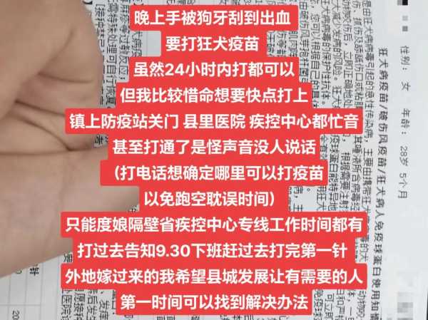 给狗狗打狂犬疫苗不小心扎了下自己（给狗狗打狂犬疫苗不小心扎了下自己手怎么办）