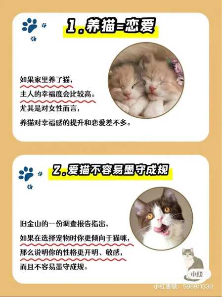 养猫到底好不好?（养家猫的好处和坏处）