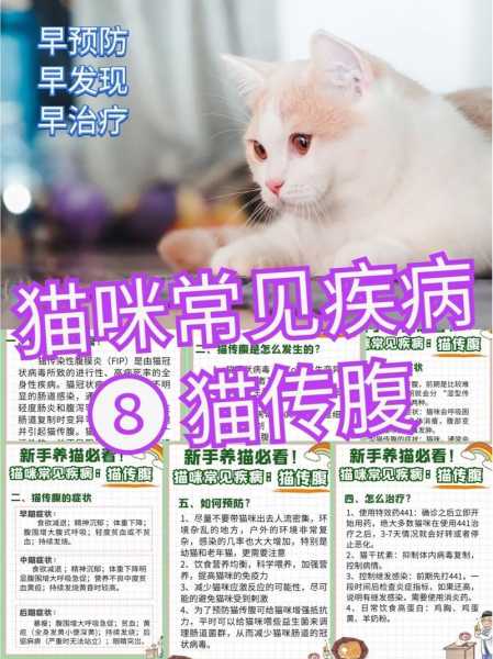 猫的传染病（猫的传染病大全）