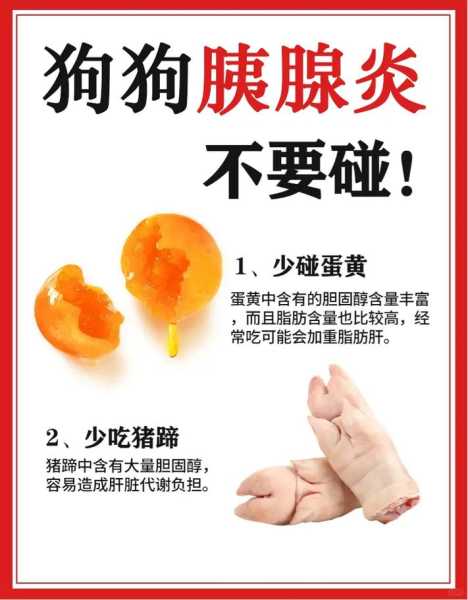 狗狗急性胰腺炎几天能治好（狗狗急性胰腺炎有救么）