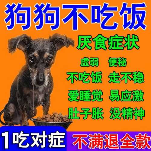 狗狗为什么食欲大增（狗狗食欲太好是什么原因）