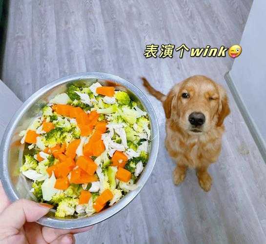 金毛的烹饪方法（金毛的烹饪方法视频）