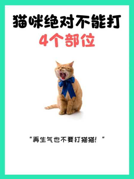 猫咪做错事情可以打吗（猫咪犯错事,能打么）