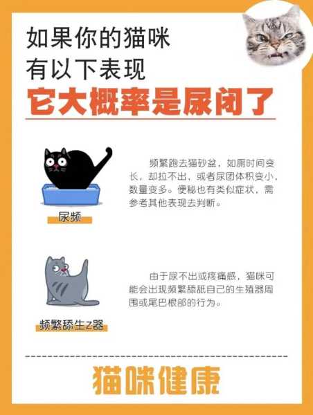 猫尿频且量少（猫尿少尿频怎么回事）