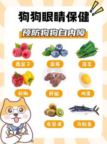 狗狗白内障跟饮食有关系吗（狗狗白内障吃什么比较好）