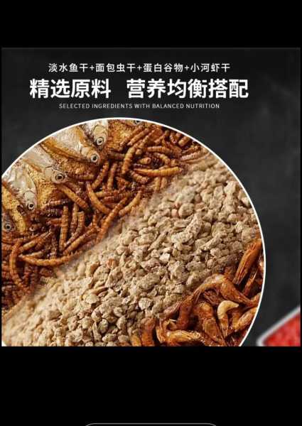 八哥吃什么的?（八哥吃什么的饲料）