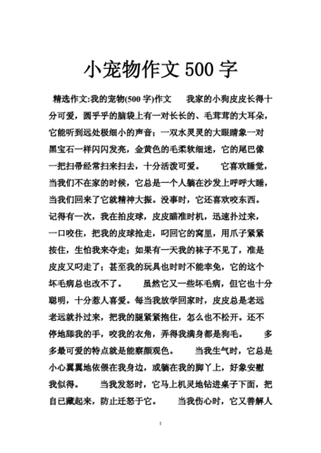 宠物,让生活更美好（宠物让生活更美好500字六年级）