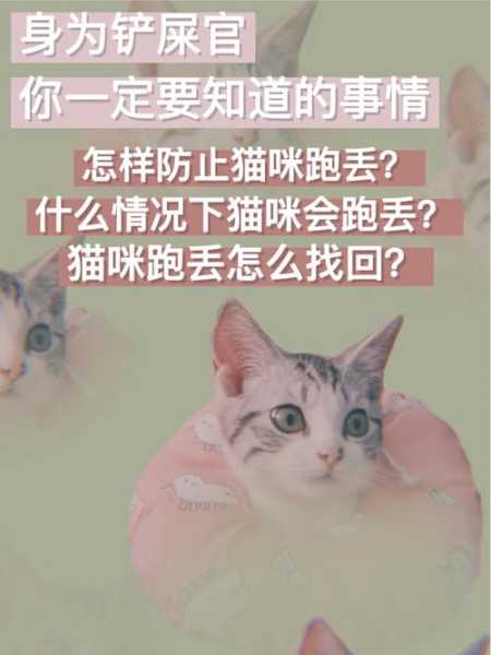 怎么防止猫咪跑丢（怎么防止猫咪走失）