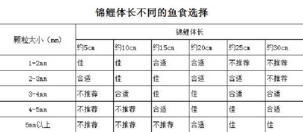 锦鲤鱼饲养方法及注意事项大全（锦鲤的饲养方法和注意事项）