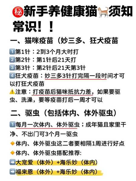 猫咪打预防针之前应该注意啥（猫咪打疫苗之前需要注意什么）