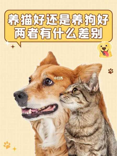 猫比狗活的长（猫比狗的寿命）