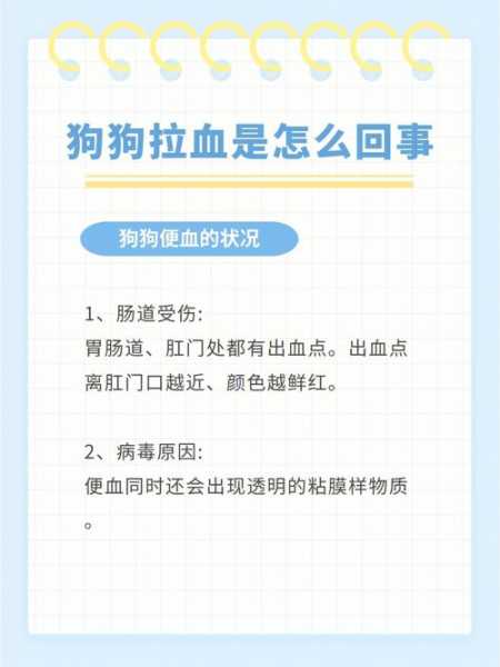 小狗拉稀带血怎么办,三个步骤完美解决!（小狗拉稀带点血怎么治）