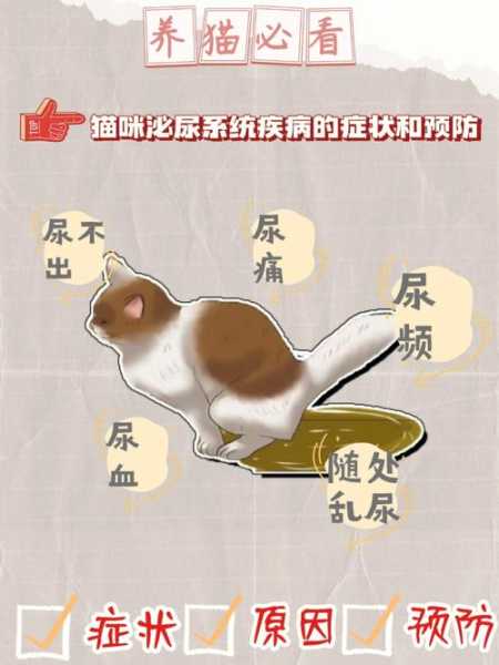 猫咪异常排尿病因分析图（猫咪异常排尿病因分析图解）