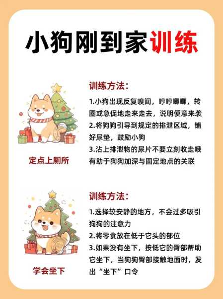 阿拉斯加训犬教程视频（阿拉斯加犬怎么训）