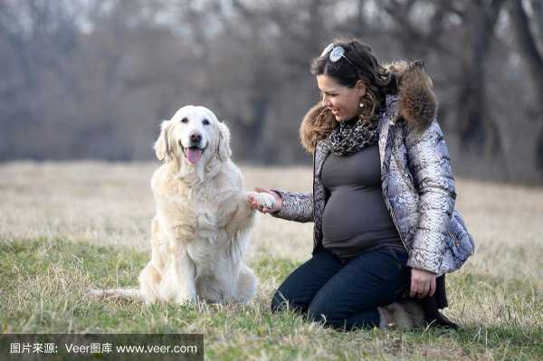 怀孕的母犬家长们应如何陪伴（怀孕的狗狗怎么照顾）