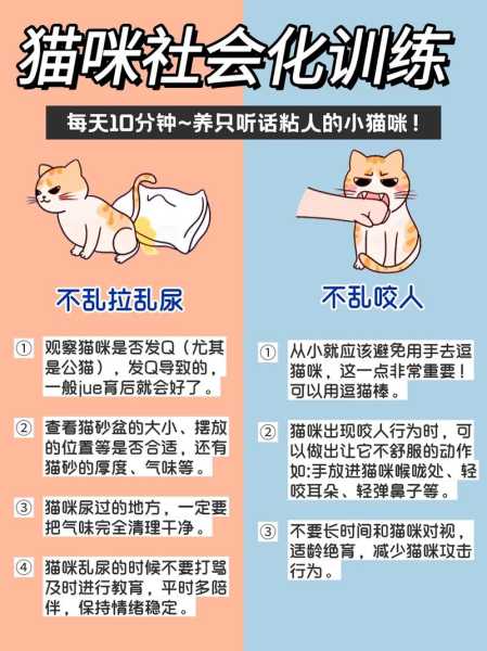 怎么才能做到科学养猫?（科学养猫小知识）